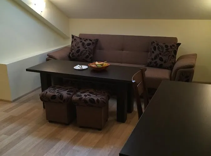 Хотел божур Минерални Бани